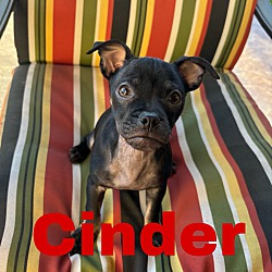Photo of Cinder