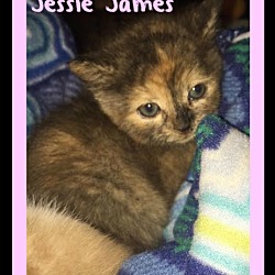 Thumbnail photo of Jessie James #2