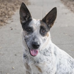Photo of ANNIE