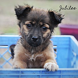 Photo of Jubilee~adopted!