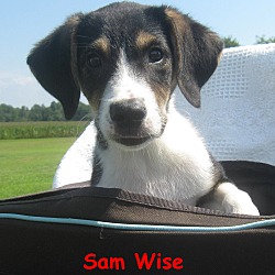 Thumbnail photo of Sam Wise~meet me~ #1