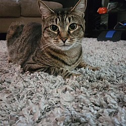 Photo of Ariel