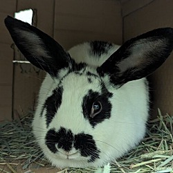 Photo of May Bonded To April