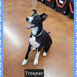 Photo of Trooper