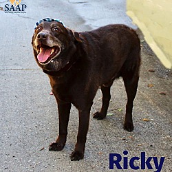 Thumbnail photo of Ricky #3