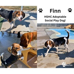 Thumbnail photo of Finn #3