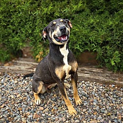 Thumbnail photo of Ethereal Ms Erin ~ Beautiful Blue Lacy ! #2