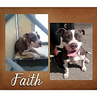 Photo of FAITH-Sponsor-Lives up to name