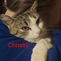 Photo of Chrissy