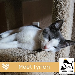 Photo of Tyrian
