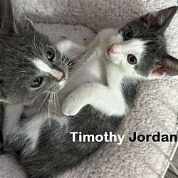 Photo of Coconut and Timothy Jordan