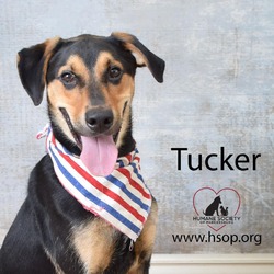 Thumbnail photo of Tucker #3