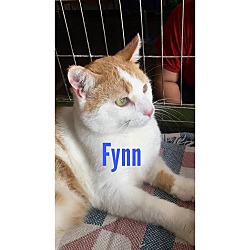 Thumbnail photo of Fynn #3
