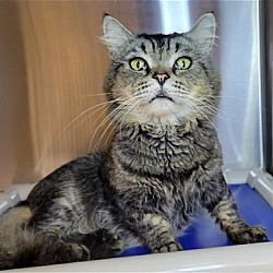 Photo of Weepy