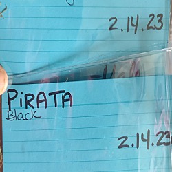 Thumbnail photo of Pirata #3