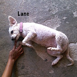 Thumbnail photo of Lane #2