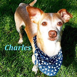 Thumbnail photo of Charles #1