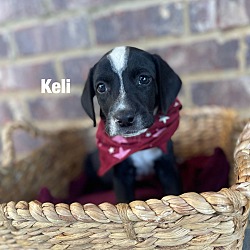 Photo of Keli