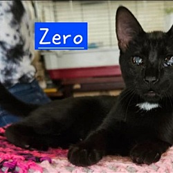 Photo of Zero