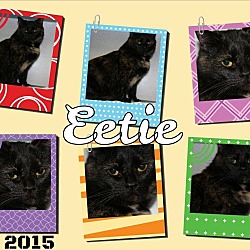 Thumbnail photo of Eetie #2