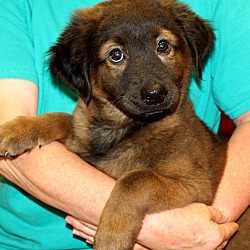 Thumbnail photo of Naboo~adopted! #3