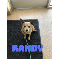 Photo of RANDY