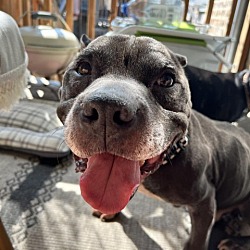 Photo of Ernie