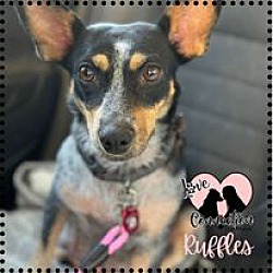 Photo of Ruffles