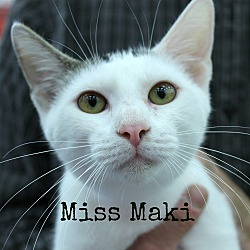 Thumbnail photo of Miss Maki #1