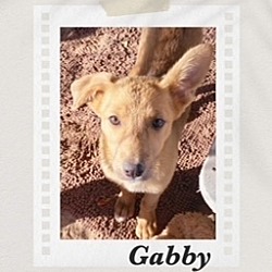 Photo of Gabby