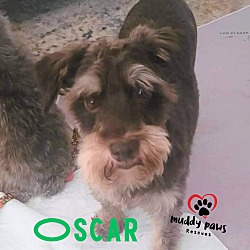 Thumbnail photo of Oscar #1