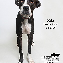 Thumbnail photo of Mike (Foster) #3