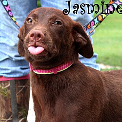 Thumbnail photo of Jasmine ~ meet me! #2