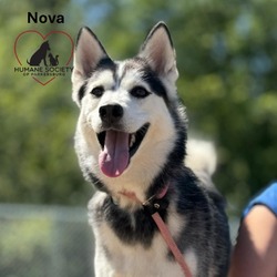 Thumbnail photo of Nova #3