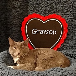 Thumbnail photo of Grayson #3