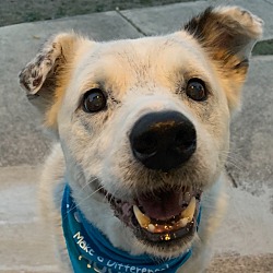 Photo of Gerry (Texas only)