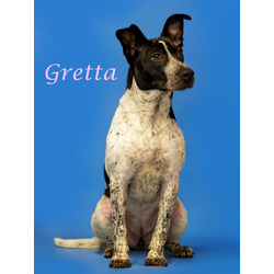 Thumbnail photo of Gretta (D24-079) #1