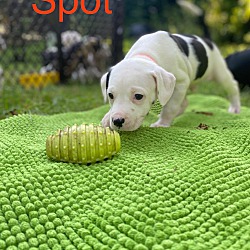 Thumbnail photo of Spot #2