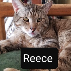 Thumbnail photo of Reece #2