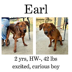 Thumbnail photo of Earl #1