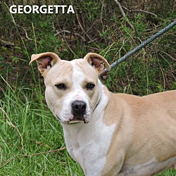 Thumbnail photo of Georgetta #2
