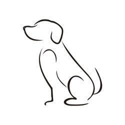 Bashful