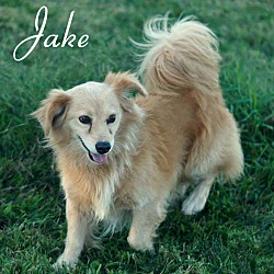 Thumbnail photo of Jake #2