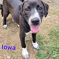 Photo of Iowa