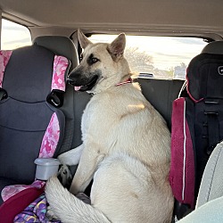 Photo of Baxter