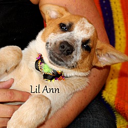 Thumbnail photo of Lil Ann ~ meet me! #1