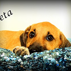 Thumbnail photo of Leta~adopted! #1