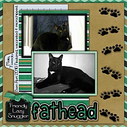 Thumbnail photo of Fathead #4