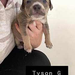 Thumbnail photo of Tyson G #4