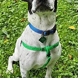 Photo of Salty Sam *World’s Greatest Adventure Buddy**